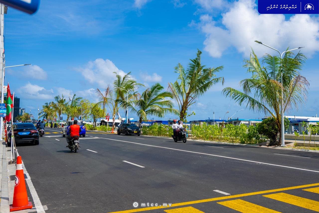 Coconut Palm Planting Completed Along Boduthakurufaanu Magu